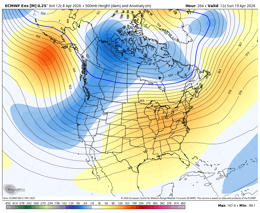 -PNA pattern