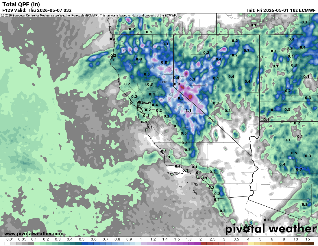 ECMWF precipitation totals