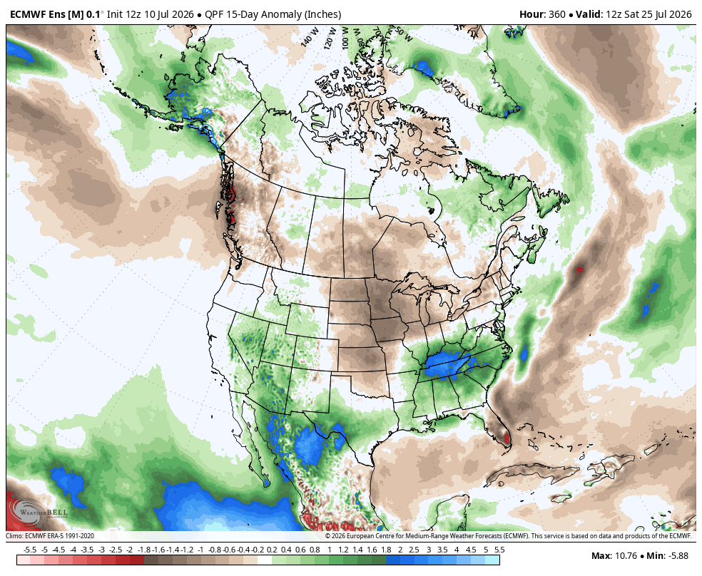 15-day precipitation anomalies from the ECMWF ensemble