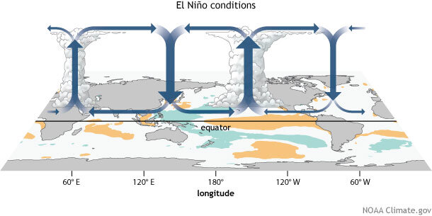 El Niño circulation